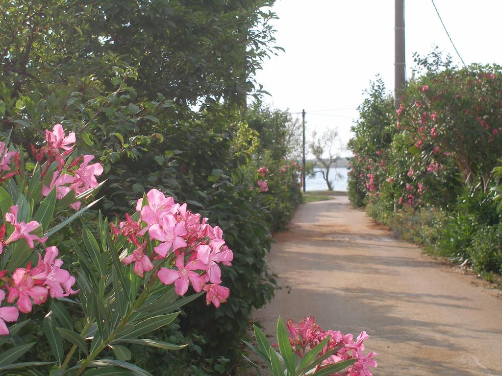 Holiday House Zaton Nin Dış mekan fotoğraf