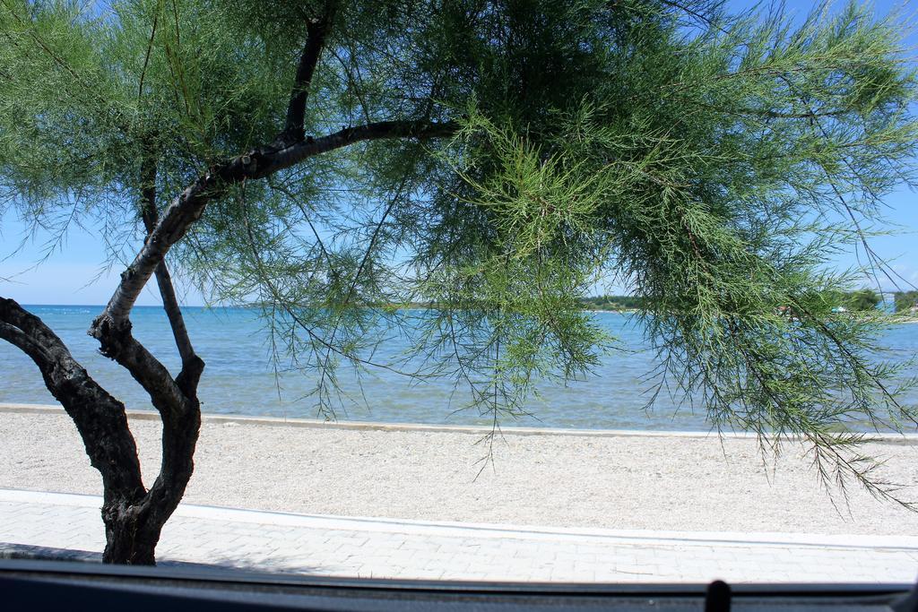 Holiday House Zaton Nin Dış mekan fotoğraf